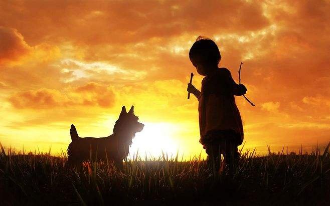 马斯克父亲赞成儿子生孩子：有钱就该多生，你认可其言论吗？