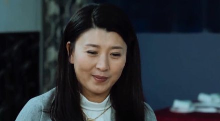 巡回检察组共计多少集