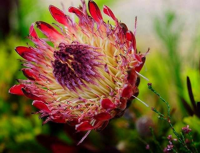 已经拥有哪几样东西的中年人，说明他非龙即凤？