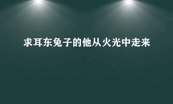 求耳东兔子的他从火光中走来
