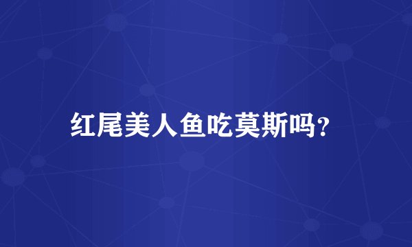 红尾美人鱼吃莫斯吗？
