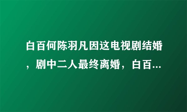 白百何陈羽凡因这电视剧结婚，剧中二人最终离婚，白百何角色滥情