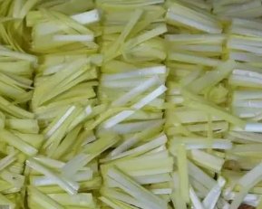 与韭黄蒜黄一样大葱能培育出葱黄吗？