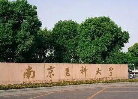 590分理科能上的大学排名