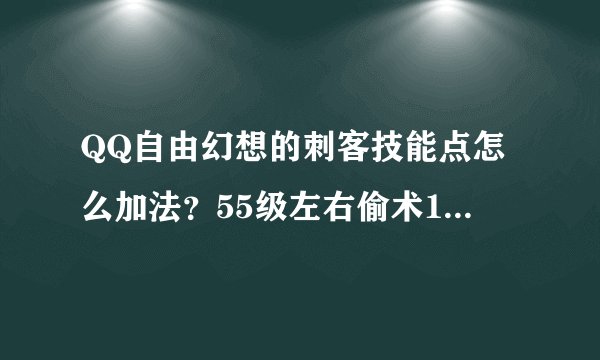 QQ自由幻想的刺客技能点怎么加法？55级左右偷术1级够吗？