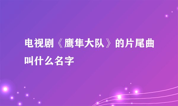 电视剧《鹰隼大队》的片尾曲叫什么名字