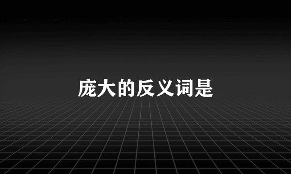 庞大的反义词是