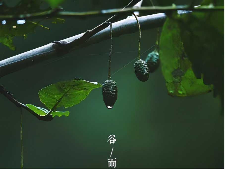 谷雨是几月几日?