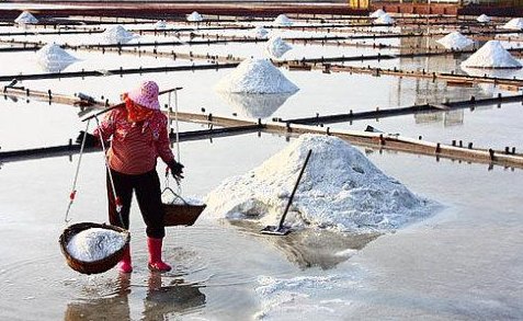 煮海歌中主要涉及何人