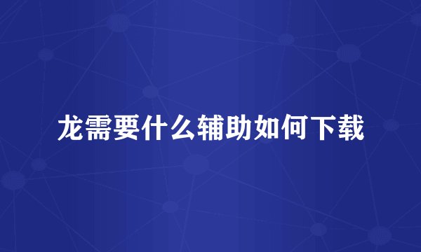 龙需要什么辅助如何下载