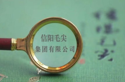 信阳毛尖取消更名国龙茅台，计划搁置的原因是什么？