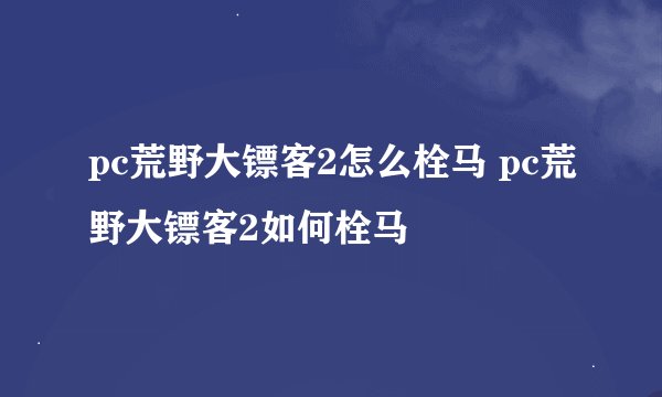 pc荒野大镖客2怎么栓马 pc荒野大镖客2如何栓马