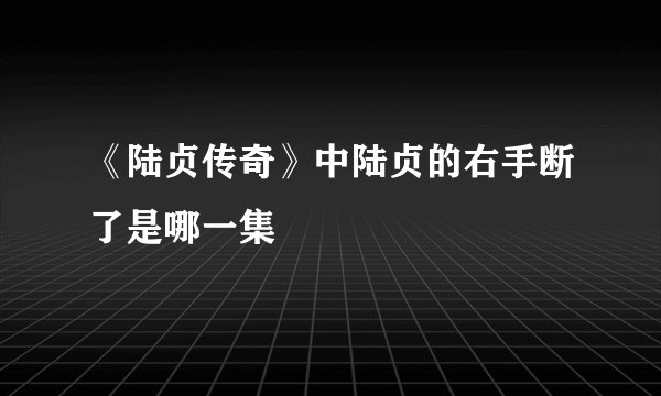 《陆贞传奇》中陆贞的右手断了是哪一集