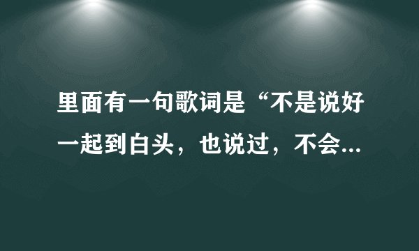里面有一句歌词是“不是说好一起到白头，也说过，不会等太久”是什么歌
