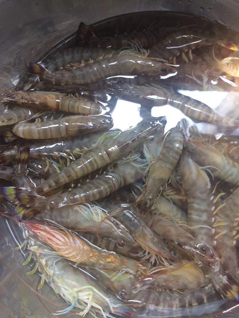 吃虾为什么要去虾头，不要的虾头可以用来做什么？