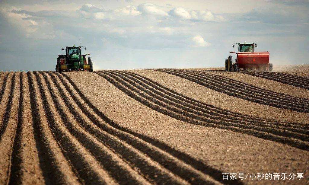 应种尽种，一亩地也不撂荒，如何才能稳住农业生产？