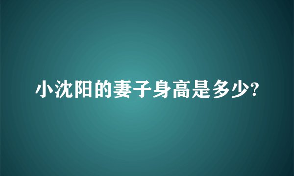 小沈阳的妻子身高是多少?
