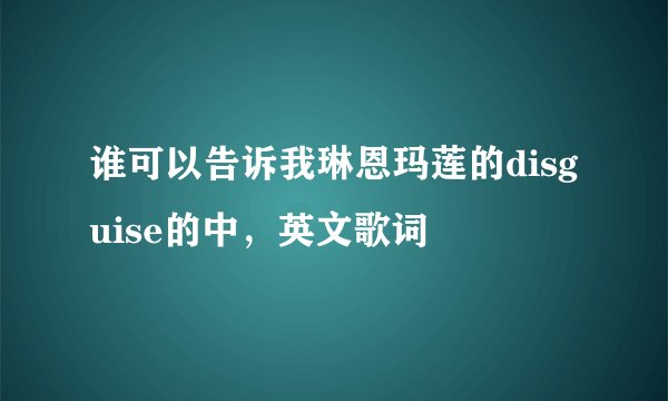 谁可以告诉我琳恩玛莲的disguise的中，英文歌词