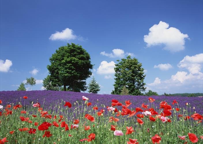 开黄腔的行为是否合理合法？