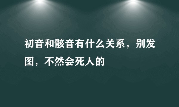 初音和骸音有什么关系，别发图，不然会死人的