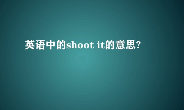 英语中的shoot it的意思?