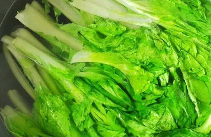 小鸡宝宝考考你:鲁迅笔下的