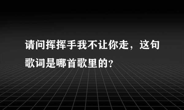 请问挥挥手我不让你走，这句歌词是哪首歌里的？