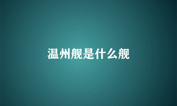 温州舰是什么舰