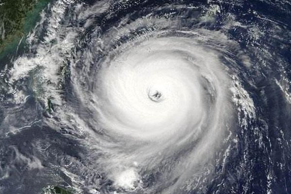 杜苏芮怎么拼写