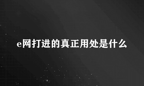 e网打进的真正用处是什么