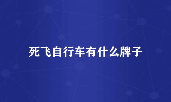 死飞自行车有什么牌子