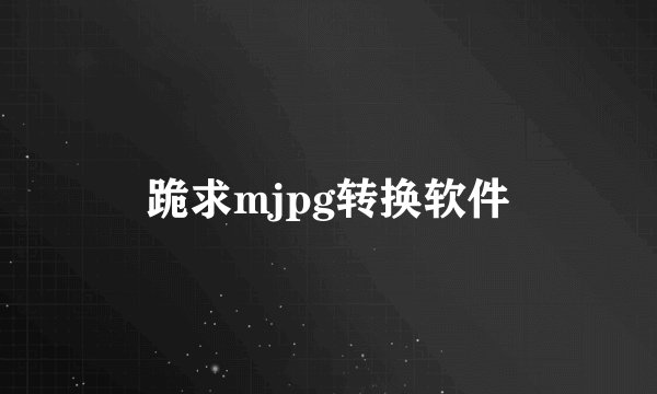 跪求mjpg转换软件