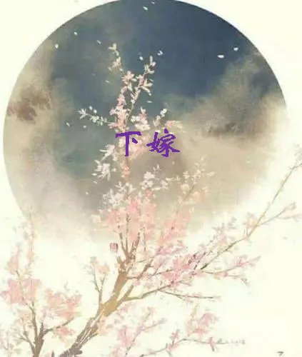 《下嫁》txt下载在线阅读全文，求百度网盘云资源