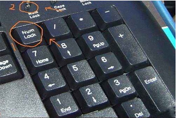 笔记本电脑数字键打不出数字怎么办?