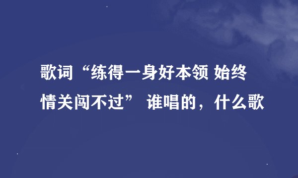 歌词“练得一身好本领 始终情关闯不过” 谁唱的，什么歌
