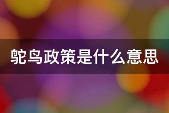 鸵鸟政策是什么政策