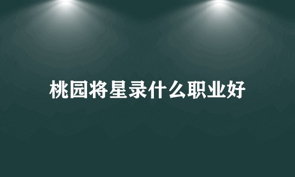 桃园将星录什么职业好