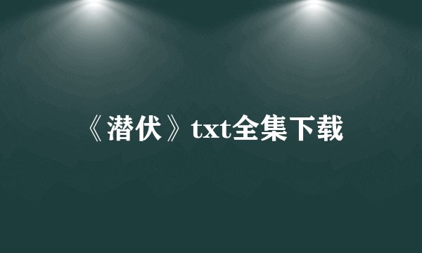 《潜伏》txt全集下载