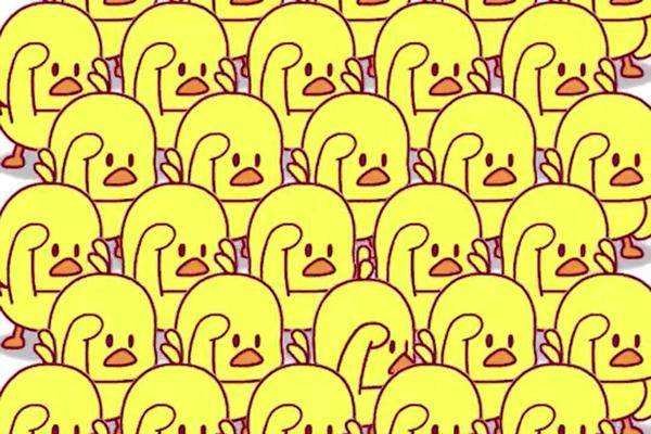 如何查看公会抖音排行榜？