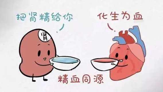 精血是什么意思翟洪生教授精血是什么意思