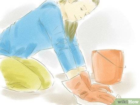 如何才能让妈妈答应我的请求？