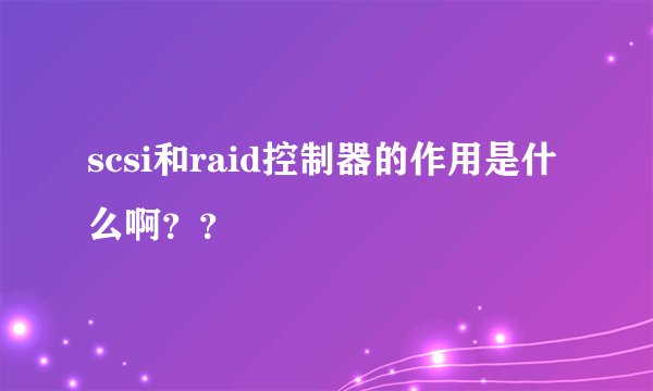 scsi和raid控制器的作用是什么啊？？