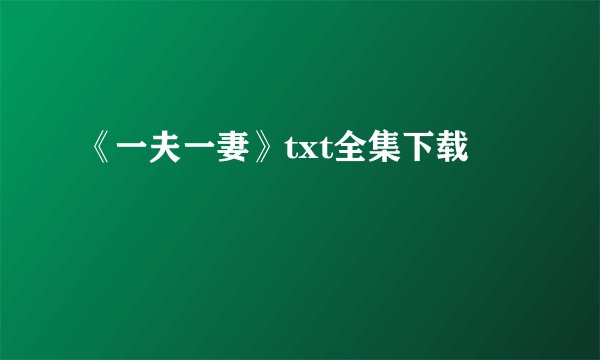 《一夫一妻》txt全集下载
