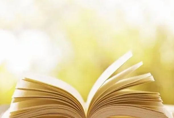 天生丽质的近义词