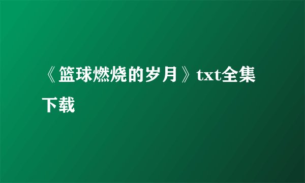 《篮球燃烧的岁月》txt全集下载