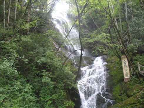 浪龙戏凤的介绍