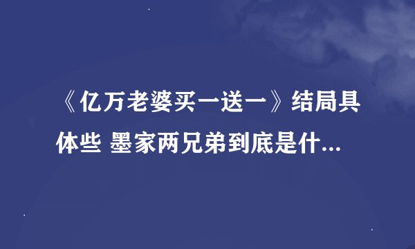 《亿万老婆买一送一》结局具体些 墨家两兄弟到底是什么来历最后和谁在一起了（具体点）