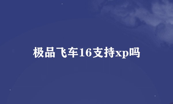 极品飞车16支持xp吗