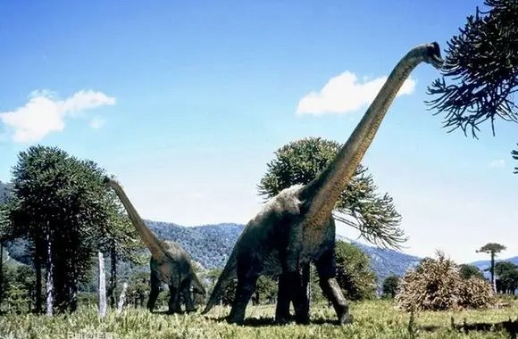 霸王龙的天敌都有谁？