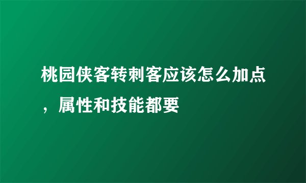 桃园侠客转刺客应该怎么加点，属性和技能都要